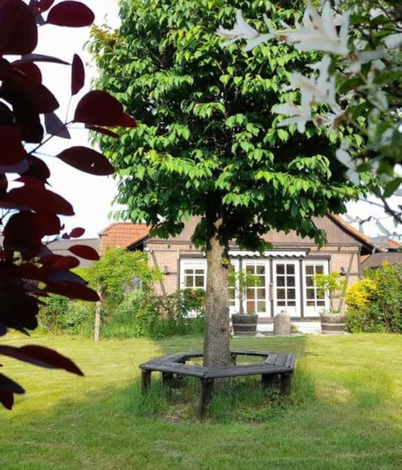 Ferienhaus Gartower See Bagian luar foto