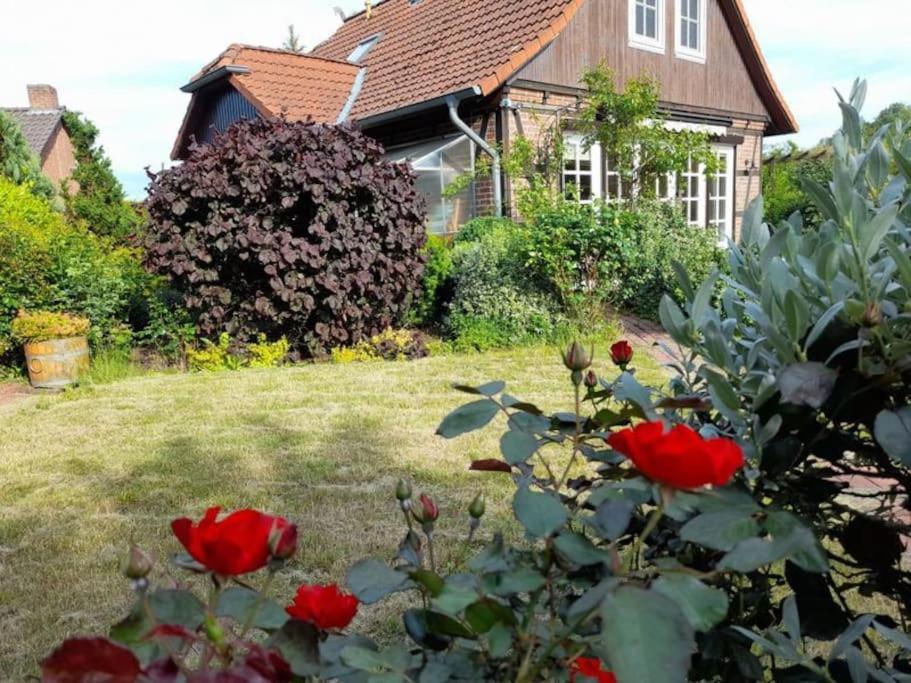 Ferienhaus Gartower See Bagian luar foto
