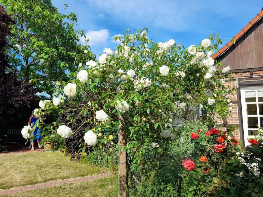 Ferienhaus Gartower See Bagian luar foto
